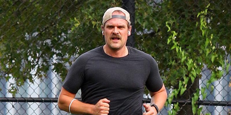 quot Stranger Things quot star and newlywed David Harbour has an intense workout session at a Downtown Manhattan park in NYC