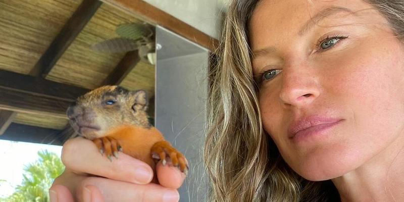Gisele Bündchen tends to an injured baby squirrel