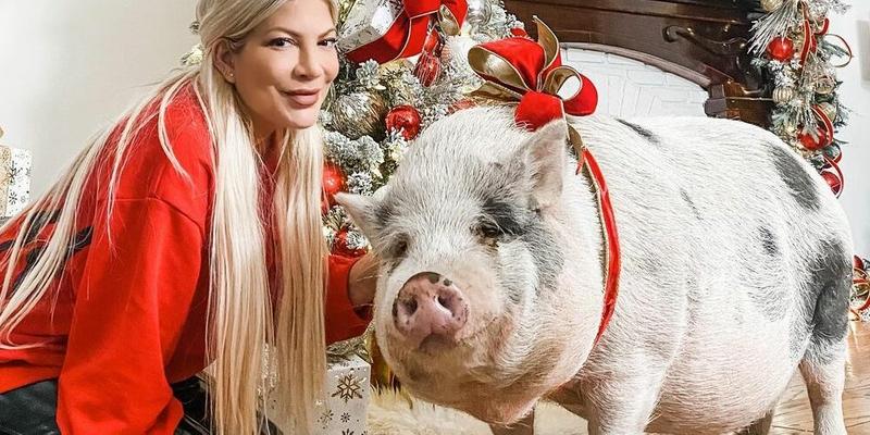 Tori Spelling and pet pig Wilber celebrate Christmas