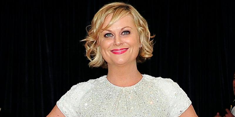 Amy Poehler At The 2013 White House Correspondents Dinner Arrivals