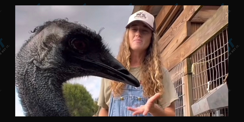 Taylor Blake and Emmanuel the Emu of Knuckle Bump Farms