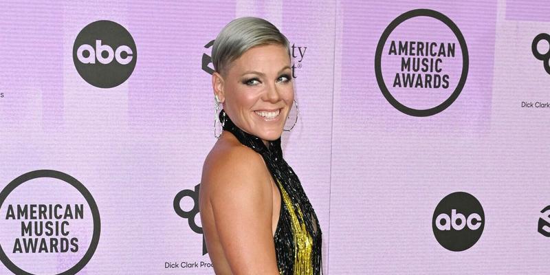 Pink 2022 American Music Awards in Los Angeles