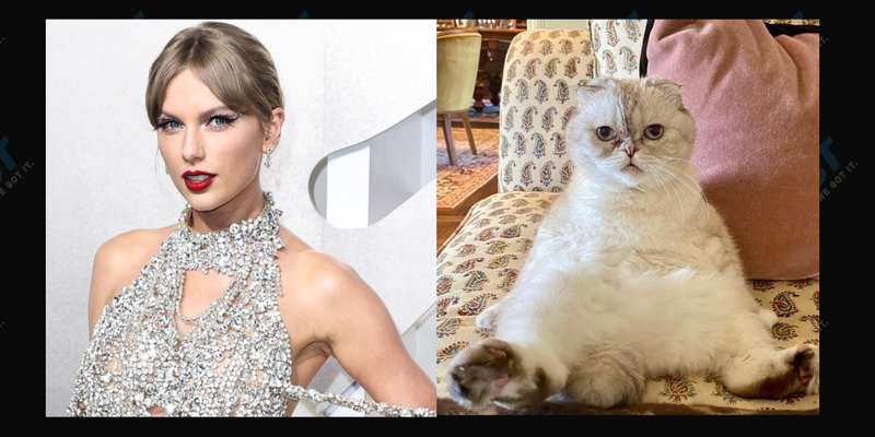 Taylor Swift, Olivia Benson