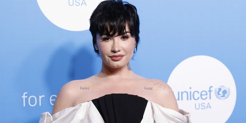 Demi Lovato arrives on the red carpet at the 2022 UNICEF Gala at The Glasshouse on Tuesday, November 29, 2022 in New York City.