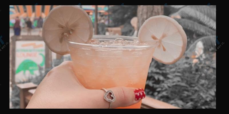 This "Hidden" Disney World Bar Is A MUST Do On Your Next Trip