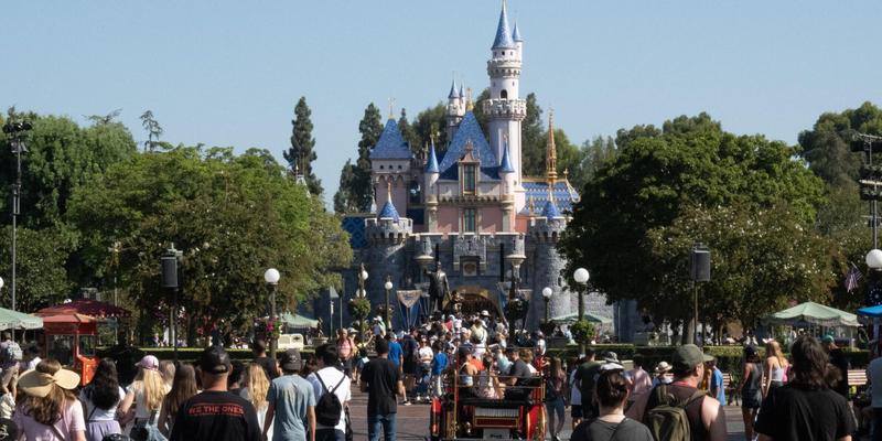 Guest Arrested At Big Thunder Mountain In Disneyland