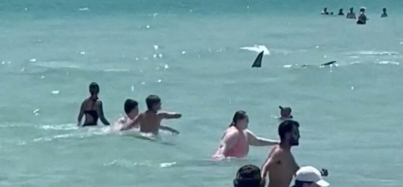 Shark swims close to packed US beach