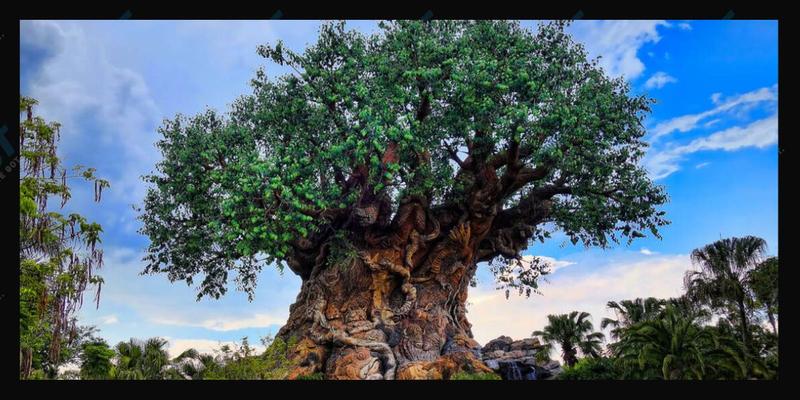 Disney To Demolish Beloved Land, Replacing With 'Encanto'