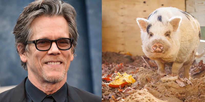 Kevin Bacon