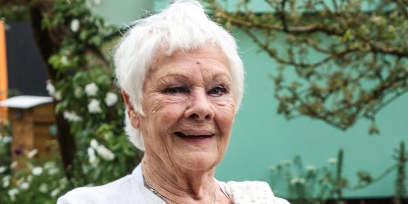 Judi Dench Admits She FaceTimed Daughter In Her Birthday Suit