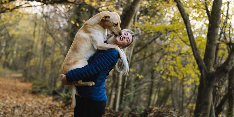A Dog and its happy owner