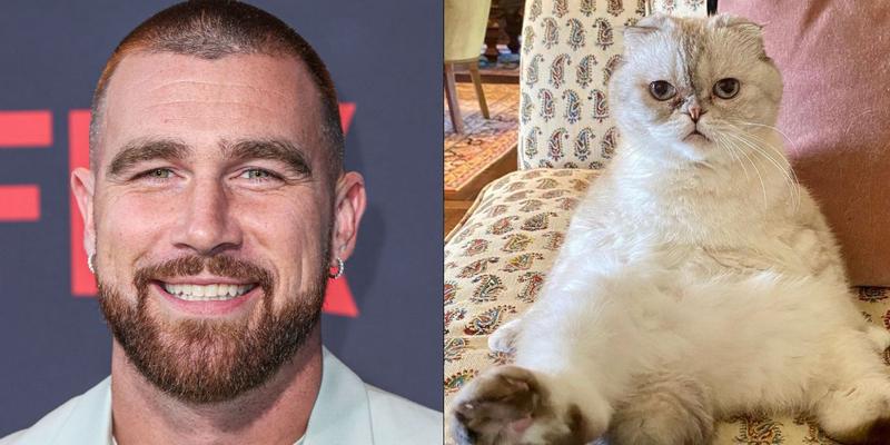 Travis Kelce's Net Worth Is Beaten Out By This Singer's Cat