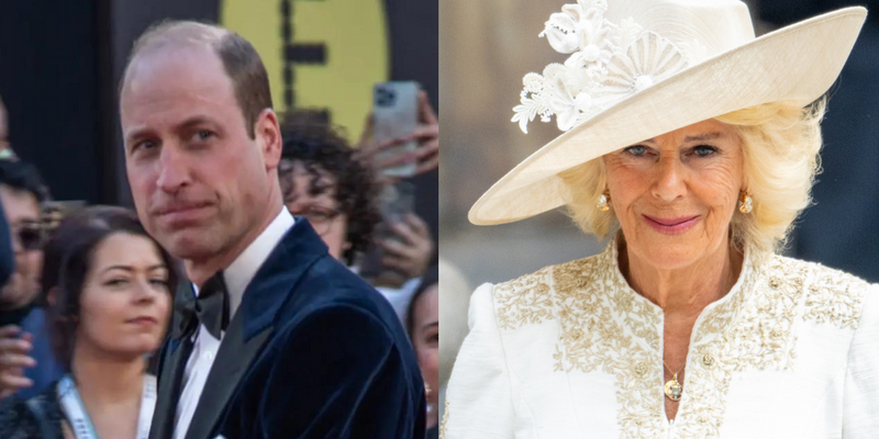 Prince William, Queen Camilla