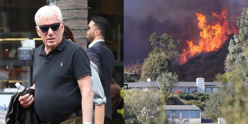 James Woods, Pacific Palisades Wildfire photo collage