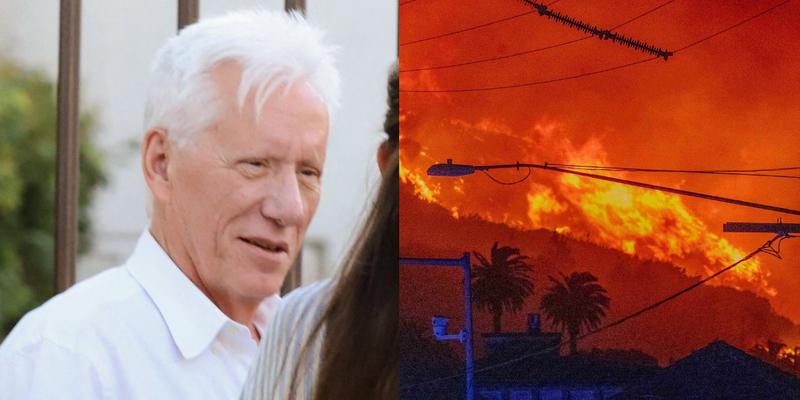 James Woods, Pacific Palisades Wildfire photo collage