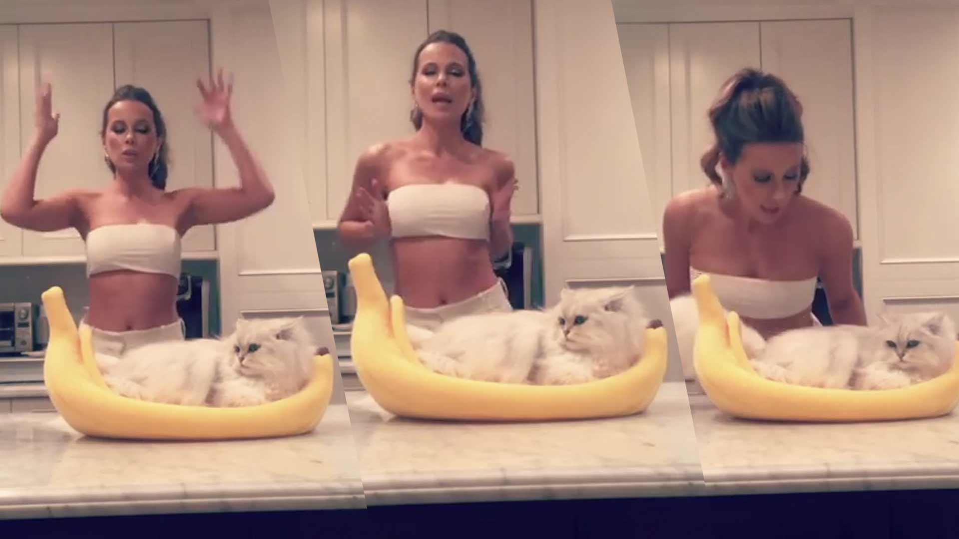 Kate Beckinsale Shows Off Tube Top Dance Moves To Bananarama; Her Cat Is Not Impressed