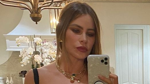 Sofia Vergara Flaunts Fabulous Cakes With Special Message