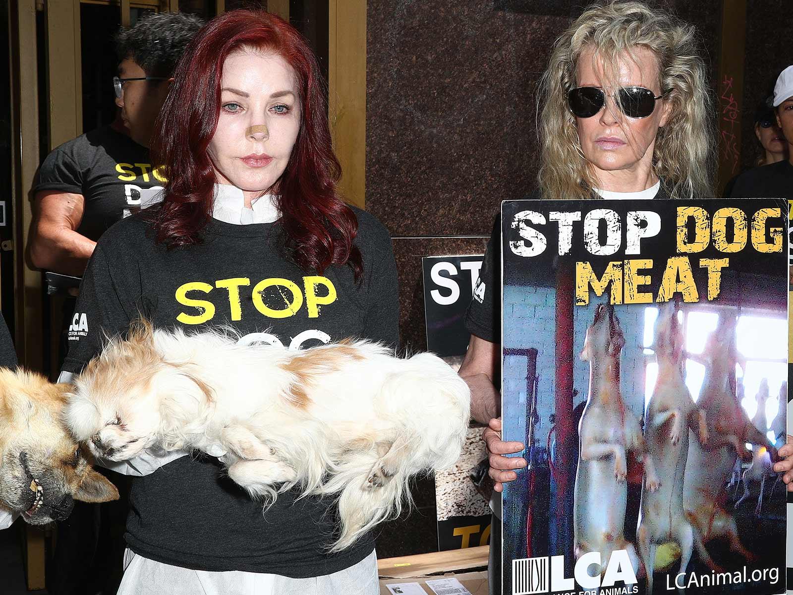 Priscilla Presley, E.G. Daily, Donna D’Errico Hold Actual Dead Dogs in L.A. to Protest South Korean Meat Trade