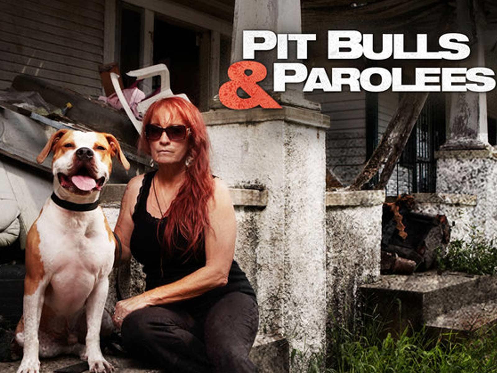 The Dog Shelter From ‘Pit Bulls & Parolees’ Is in Dire Need of Help