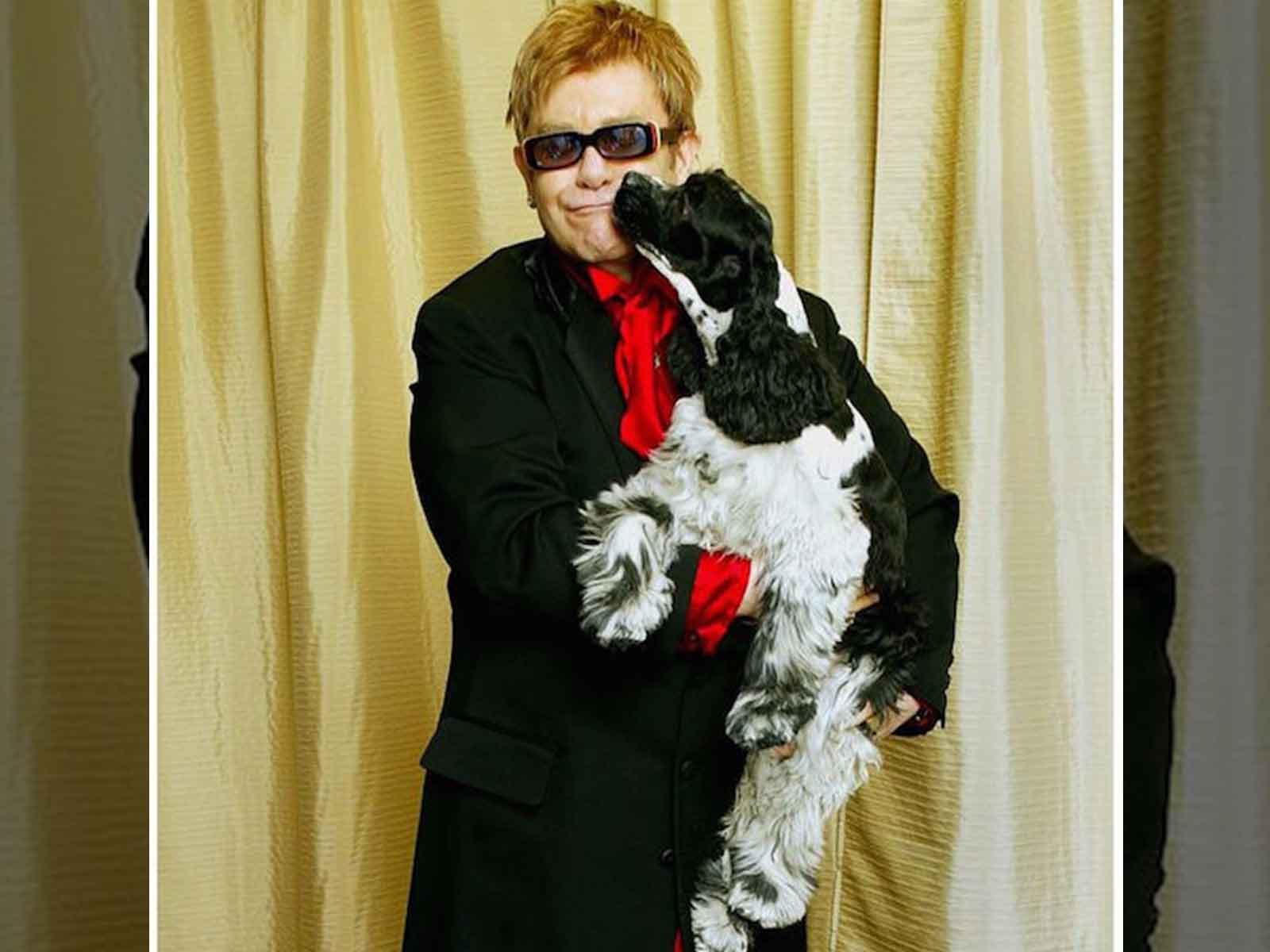 Elton John’s Beloved Dog Dies, Singer Dedicates Song to Arthur