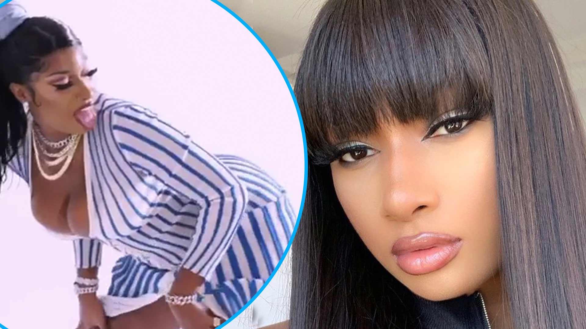 Megan Thee Stallion Fans Are Obsessed With The Dress In Twerking Clip