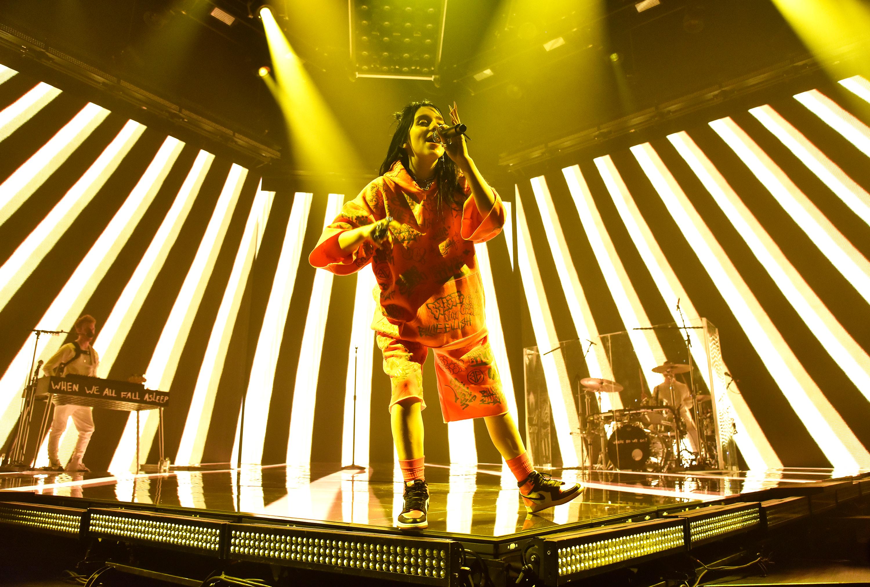 Billie Eilish Continues To Face Criticism For Swimsuit Pic