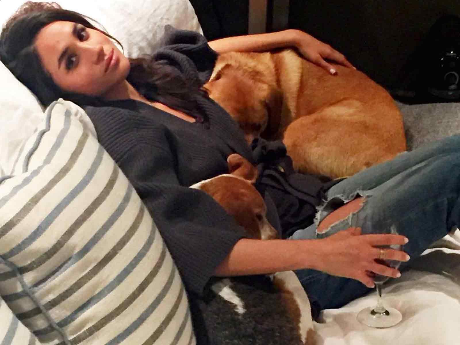 Meghan Markle Permanently Leaves Behind One of Her Beloved Dogs In Move to UK
