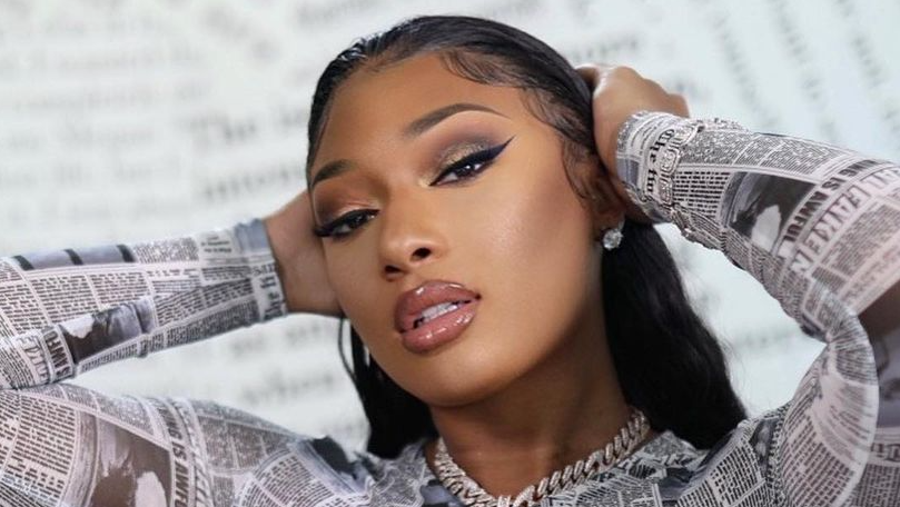 Megan Thee Stallion Slithers In Sultry Snakeskin Bodysuit & Pair Of ...