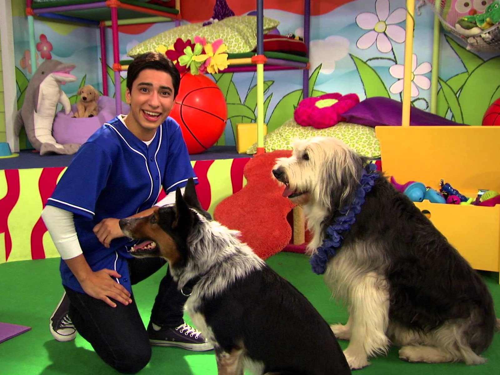 Animals Trainers Sue Over Talent Dogfight on Nickelodeon’s ‘Mutt & Stuff’