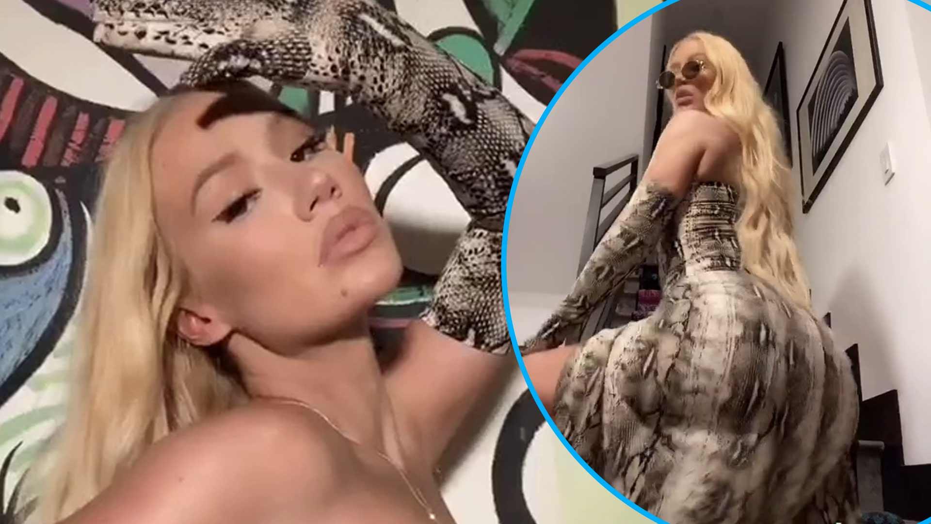 Iggy Azalea Twerks In Snakeskin Dress To Celebrate Reaching 1M Follower On  TikTok