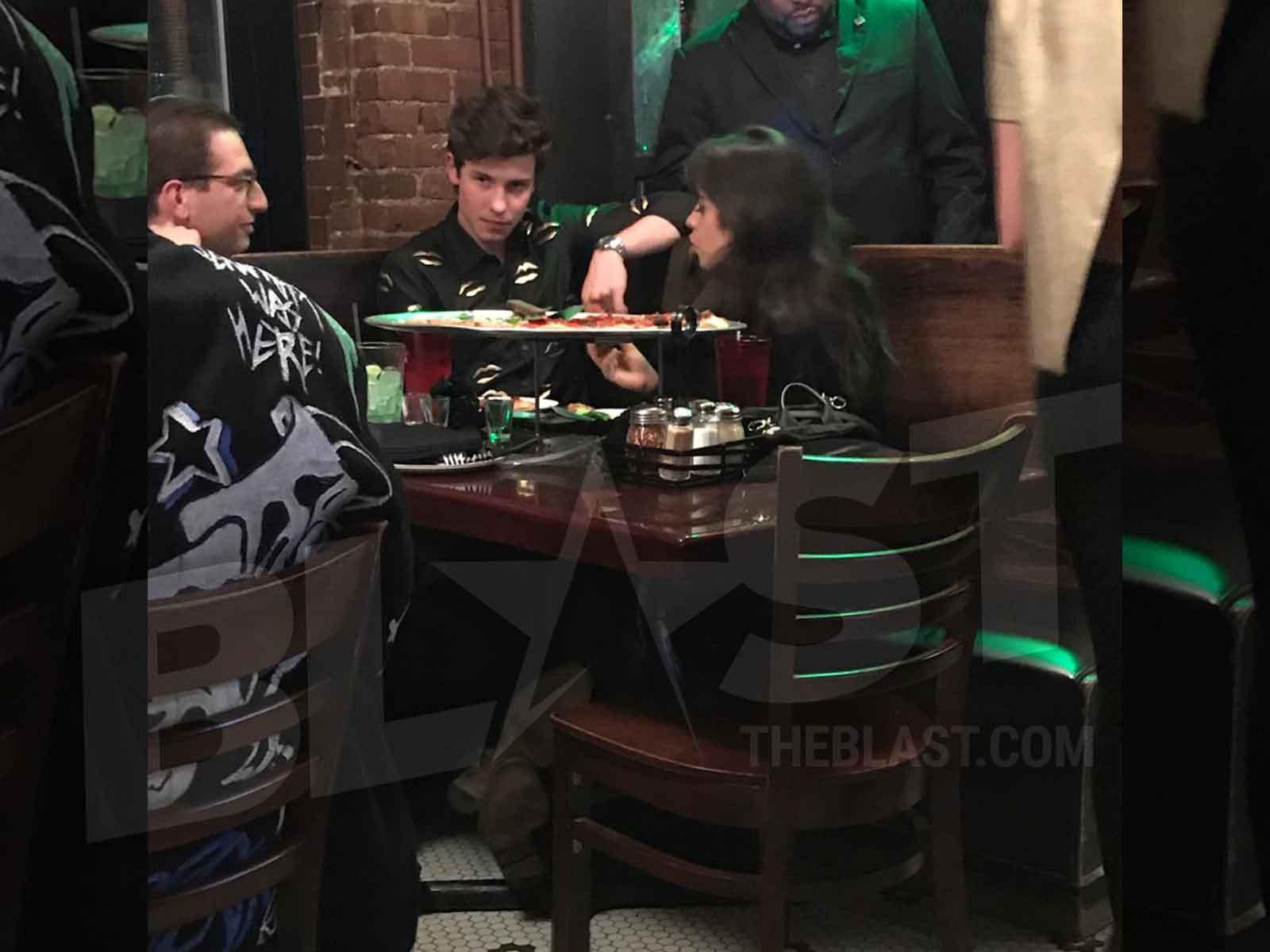 ‘BFFs’ Shawn Mendes and Camila Cabello Cozied Up On What Looks Like a Date