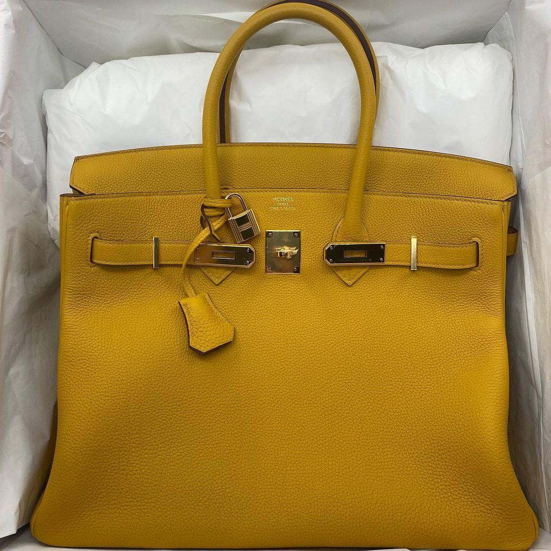 Mayweather discount hermes bag